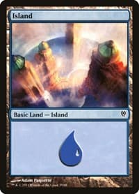 Island (39)