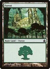 Forest (318)