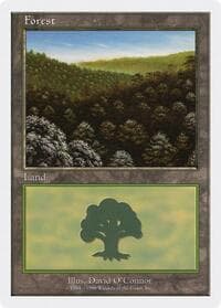 Forest (101)