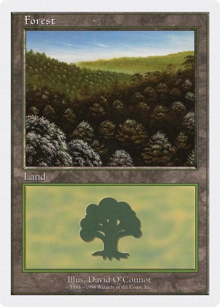Forest (101)