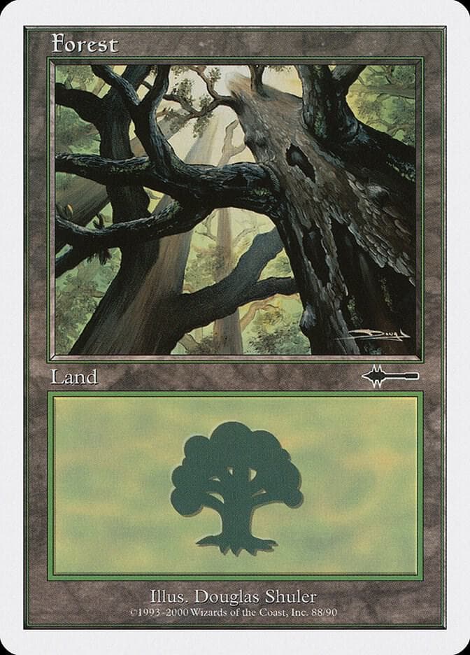 Forest (88)