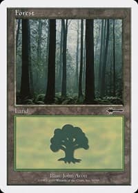Forest (90)