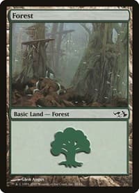 Forest (28)