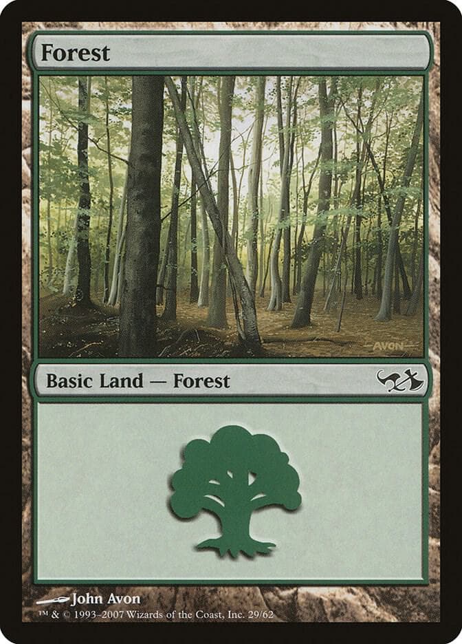 Forest (29)