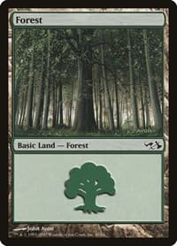 Forest (30)