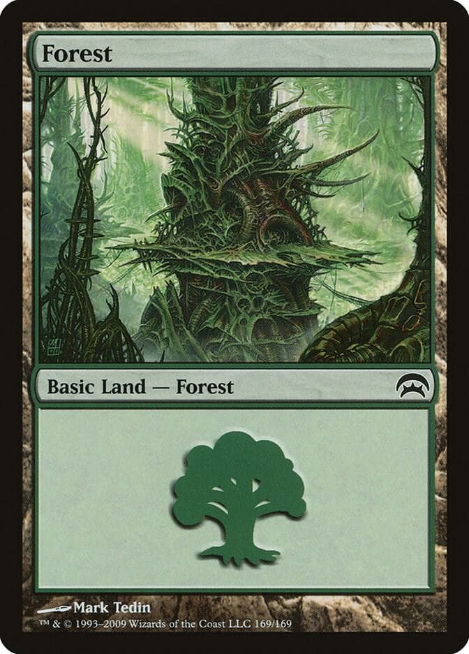 Forest (169)