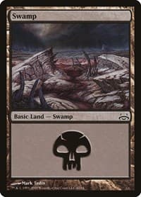 Swamp (60)