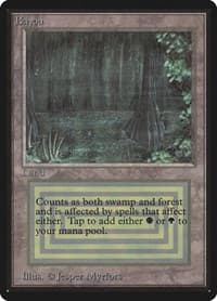 Bayou