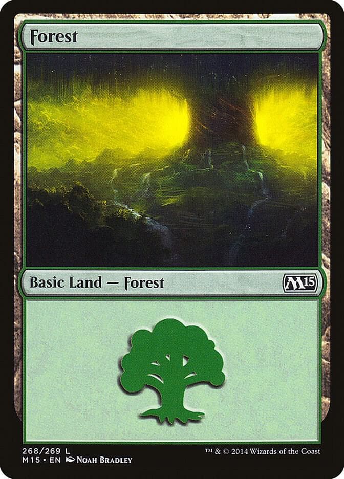 Forest (268)