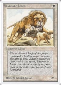 Savannah Lions