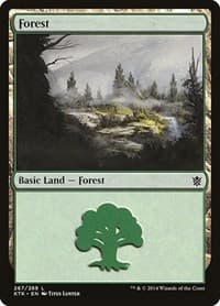 Forest (267)