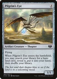 Pilgrim's Eye