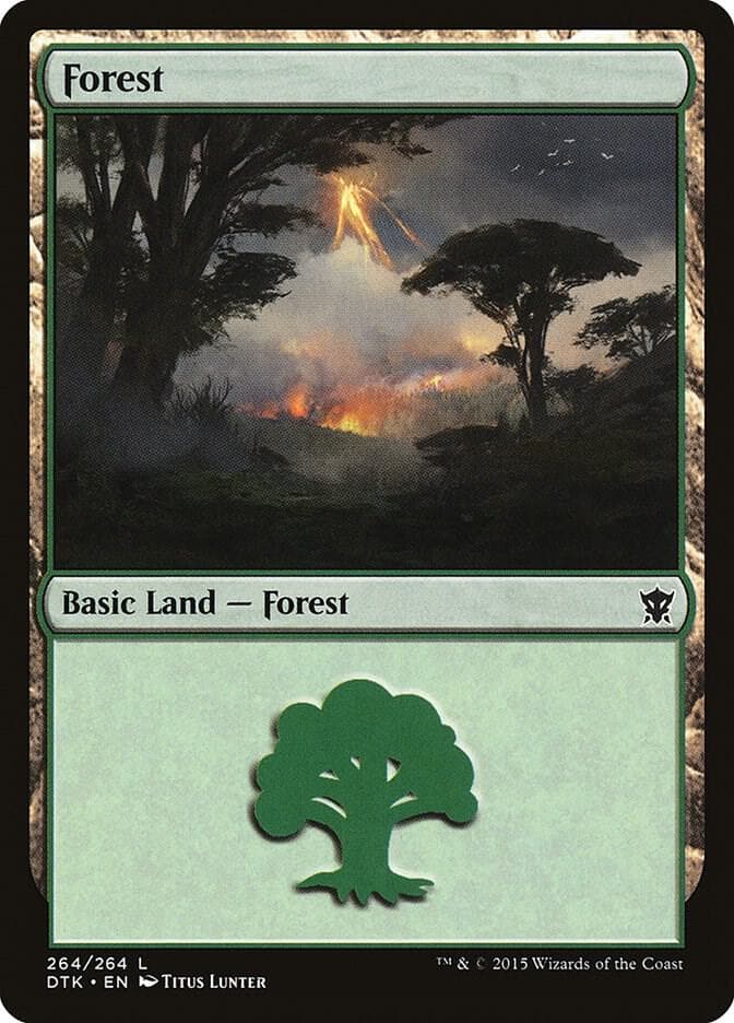 Forest (264)