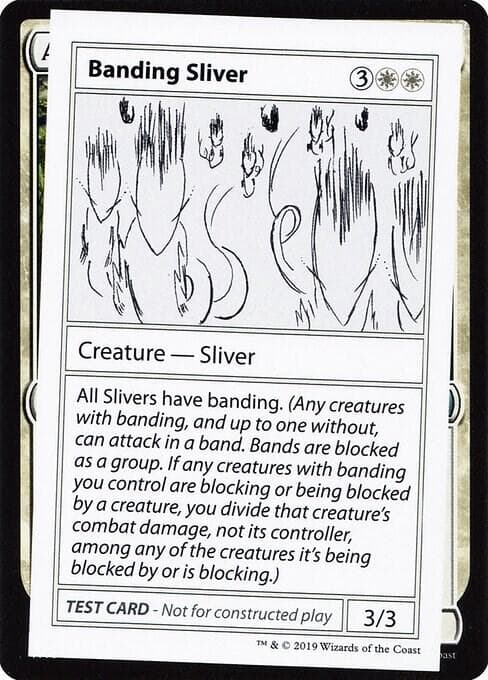 Banding Sliver (No PW Symbol)