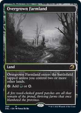Overgrown Farmland